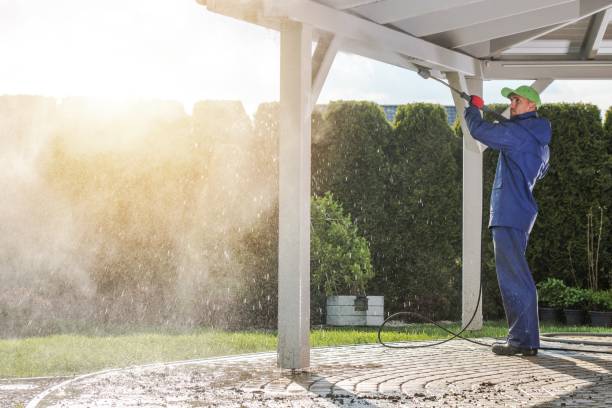 Best Building Exterior Washing  in Hamilton, TX
